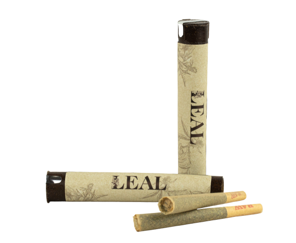 Royal Highness Leal