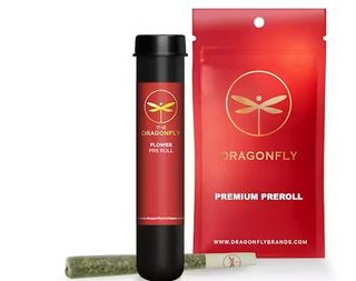 Tahiti Lime Dragonfly