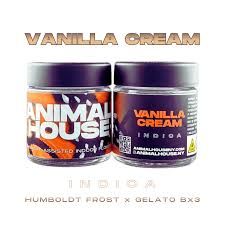 Vanilla Cream Animal House