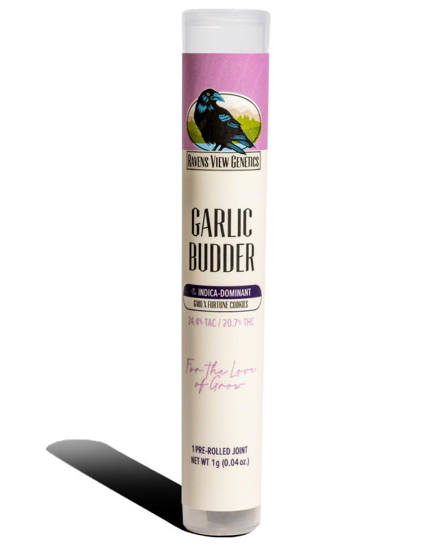 Garlic Budder  Raven's View Genetic