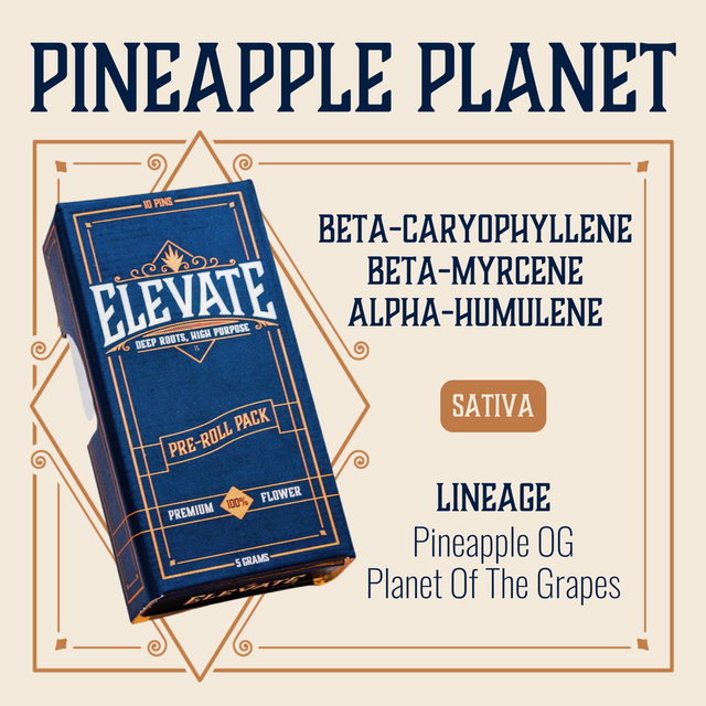Pineapple Planet Elevate