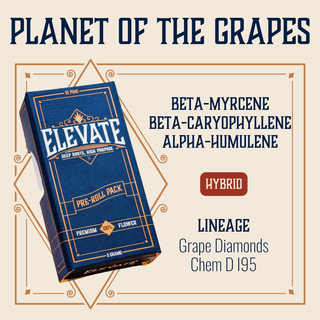 Cannabis Promo, Cannabis Sales, Cannabis Discounts, Cannabis on Sale, $40 Elevate 10pack Pre-Rolls 2