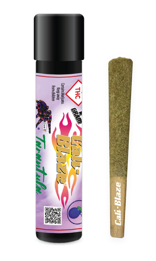 Tarantula Blueberry CALI BLAZE