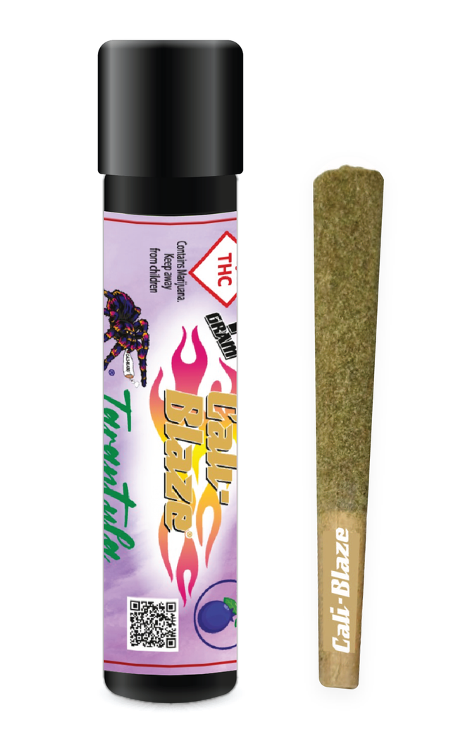 Tarantula Blueberry CALI BLAZE Tarantula Blueberry CALI BLAZE