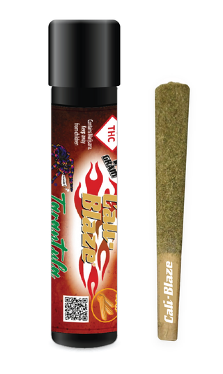 Tarantula Cinnamon Churro CALI BLAZE
