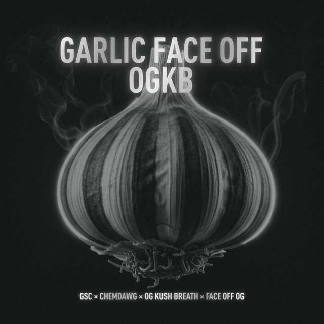 Garlic Face-Off x OGKB Onyx Garlic Face-Off x OGKB Onyx