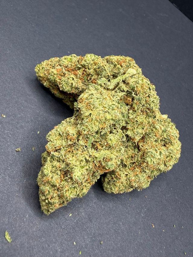 Jack Herer Options Grow Jack Herer Options Grow