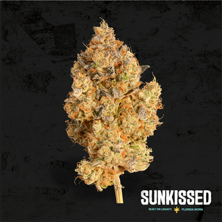 Chem 91 x Dosidos Sunkissed