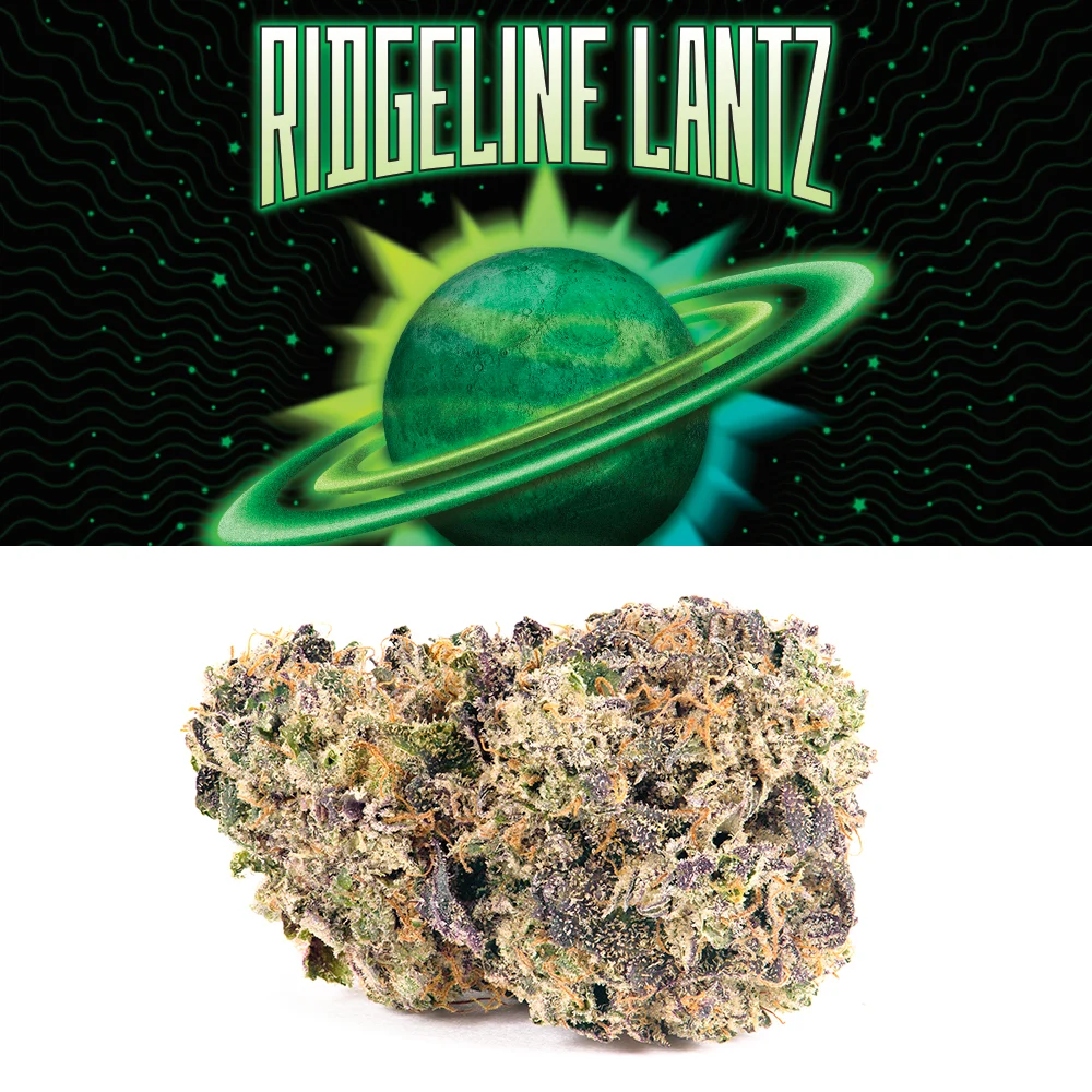 RIDGELINE LANTZ - (h) Cookies