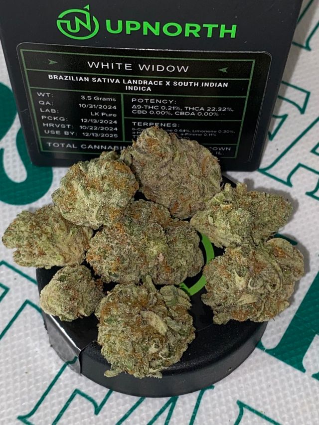 WHITE WIDOW - (h) Upnorth