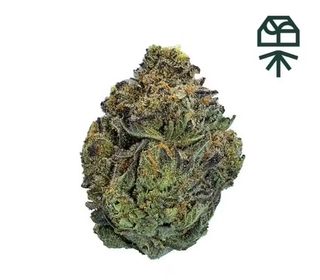 Cannabis Promo, Cannabis Sales, Cannabis Discounts, Cannabis on Sale, Grassroot 1