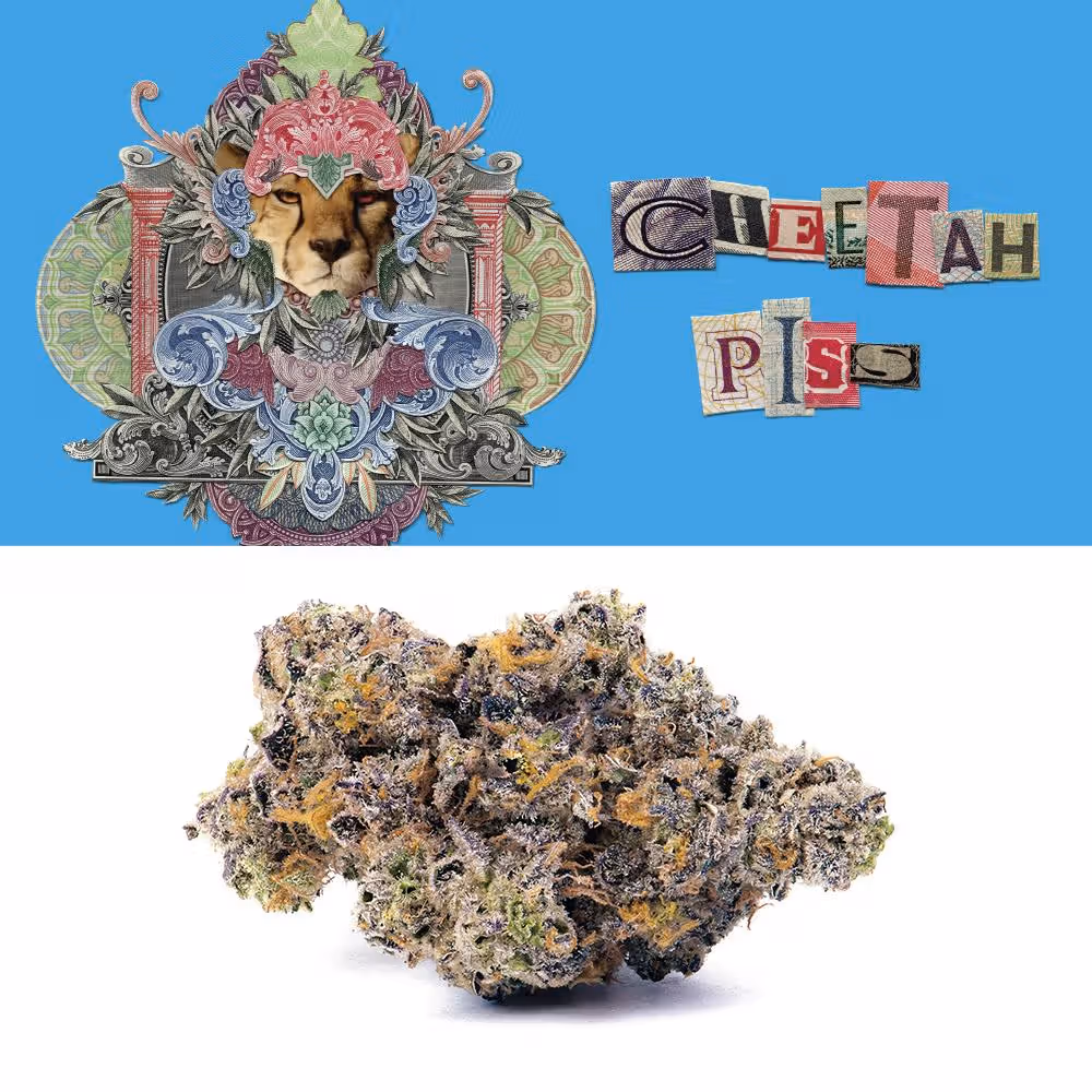 CHEETAH PISS - (h) Cookies