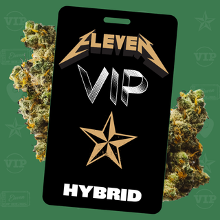 Superboof Eleven VIP