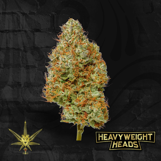Sunshine x Reaper Heavyweight Heads