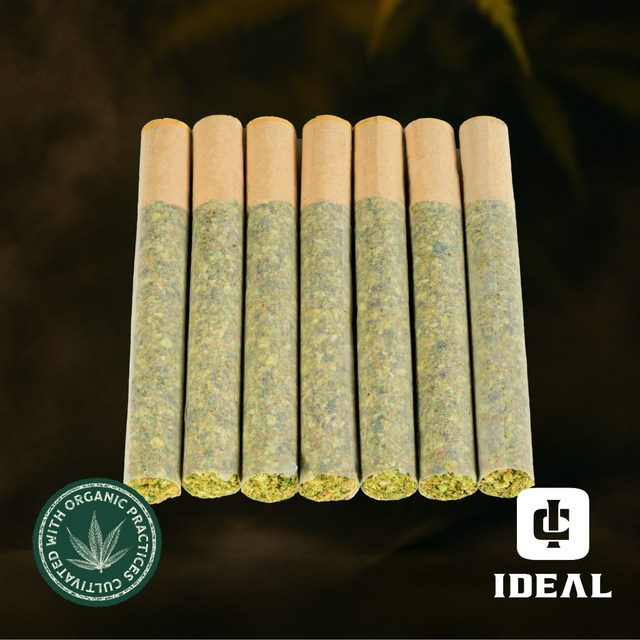 Cadillac Rainbows Ideal Cannabis Cadillac Rainbows Ideal Cannabis