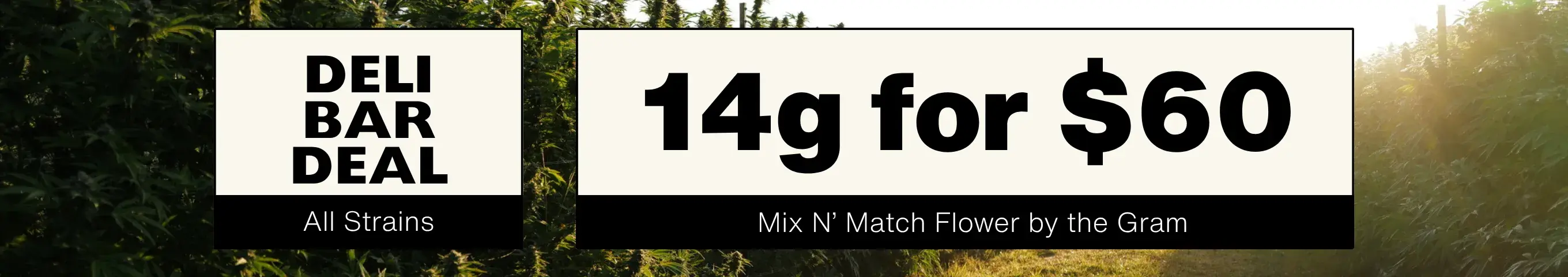 Cannabis Promo, Cannabis Sales, Cannabis Discounts, Cannabis on Sale, Mix & Match Bud Bar 14g for $60