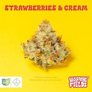 Strawberries and Cream Wellspring Fields