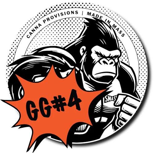 GG#4 SMASH Hits