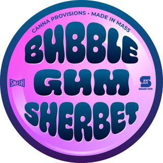 Bubblegum Sherbet SMASH Hits