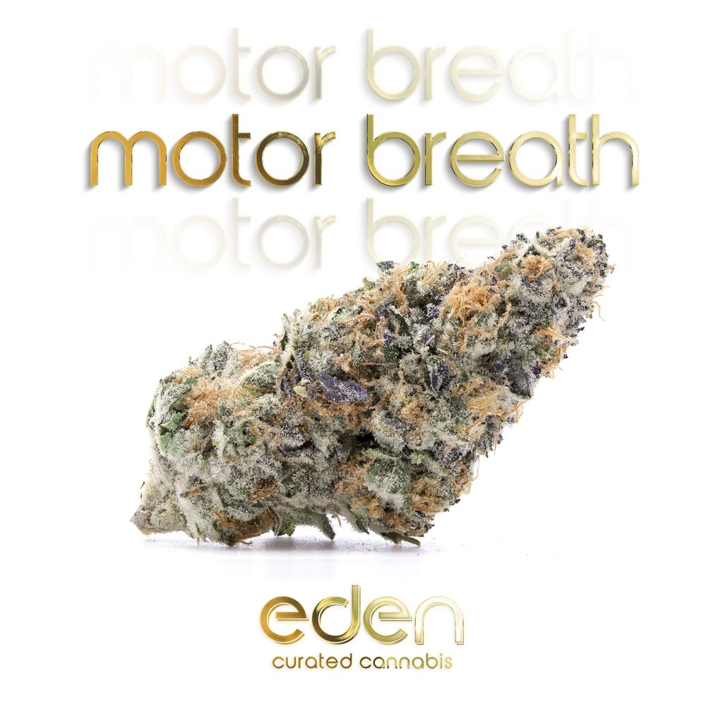 Motor Breath SchMediums