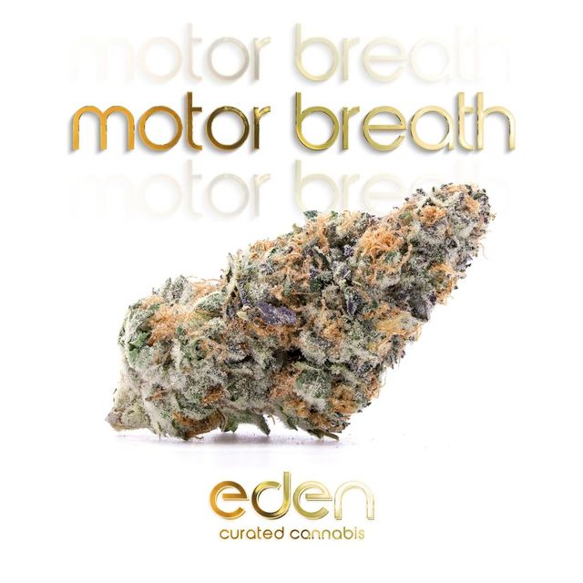 Motor Breath ShMediums
