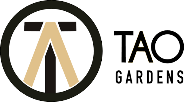 Wormhole | OG Kush x Chem Skunk OG  Tao Gardens