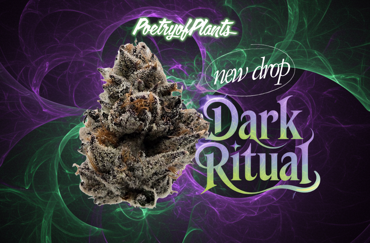 Dark Ritual