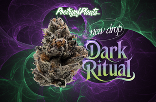 Dark Ritual Poetry of Plants