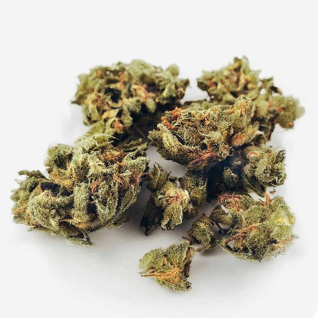 Secret OG Calypso