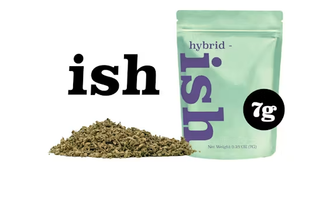 Kashmere Kush ISH