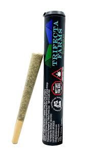 Garlic Sherbert x Twisted Ice Cream Trifecta farms
