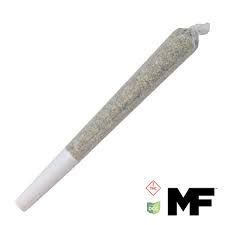 **REC ONLY** Kushlato Modern Flower