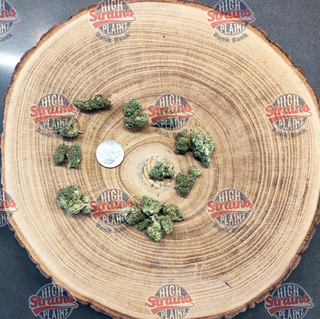 Gary Payton High Plainz