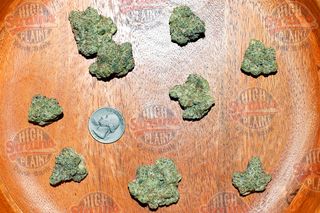 Miss Big Buns High Plainz