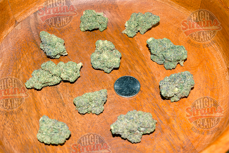 High Plainz Exotic Reserve Caked Up Cherries Exotic Reserve Shelf Bulk