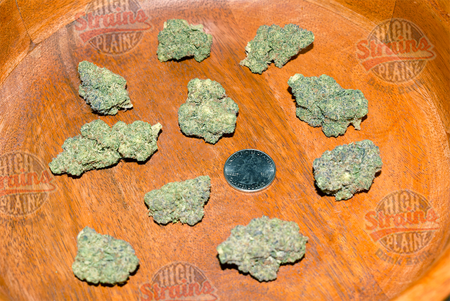 Caked Up Cherries High Plainz