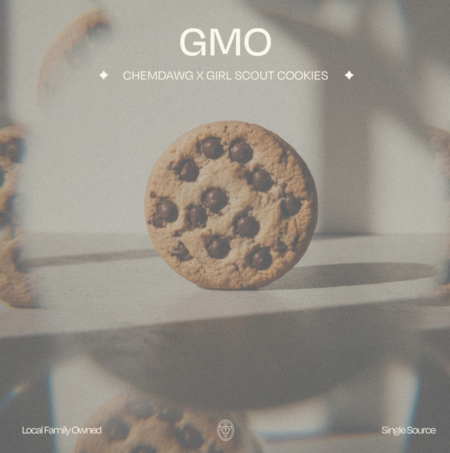 GMO Ivory GMO Ivory