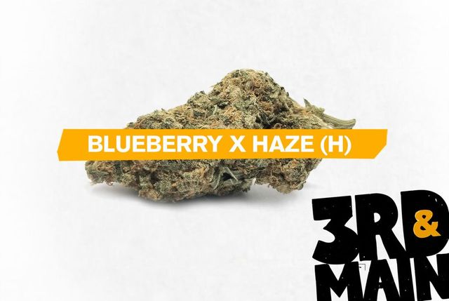 Blueberry x Haze 3rd & Main