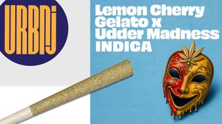 Lemon Cherry Gelato x Udder Madness URBNJ