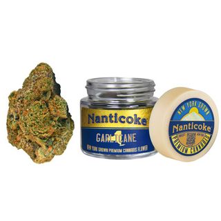 Garlicane Nanticoke