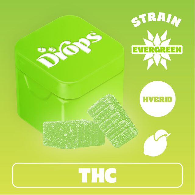 Evergreen Lime  Drops