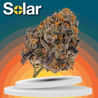 Red Velvet Solar Cannabis Co.