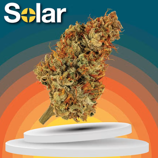 Super Silver Haze Solar Cannabis Co.