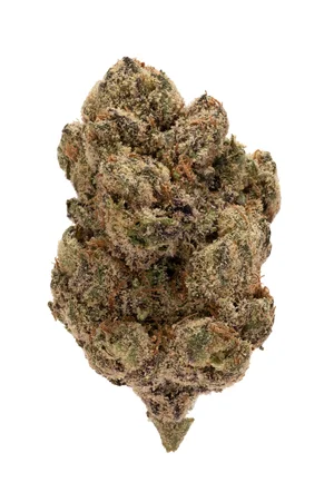 Dante's Rainbow Rolling Green