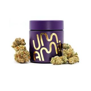 Cannabis Promo, Cannabis Sales, Cannabis Discounts, Cannabis on Sale, Sundae Driver 15% 1