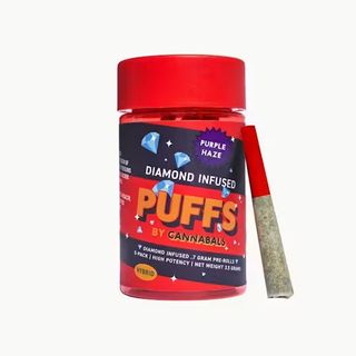 Purple Haze  Cannabals