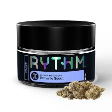 Brownie Scout RYTHM