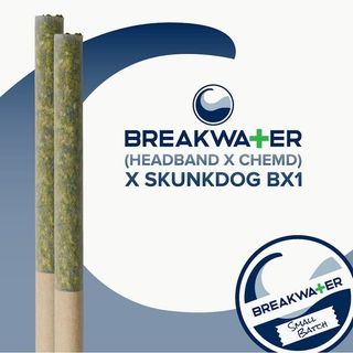 (Headband x ChemD) x Skunkdog Bx1 Breakwater