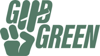 Cannabis Promo, Cannabis Sales, Cannabis Discounts, Cannabis on Sale, Any Good Green 28g for $140 1