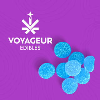 Blue Raspberry Voyageur